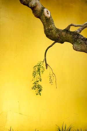 Artwork Title: Untitled