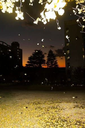 Artwork Title: Untitled