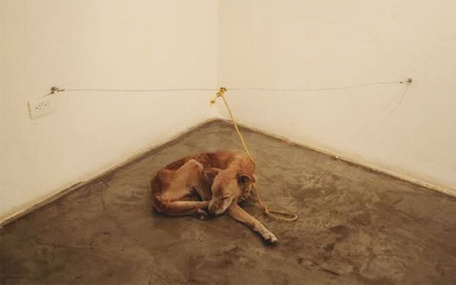 Artwork Title: Exposición No. 1