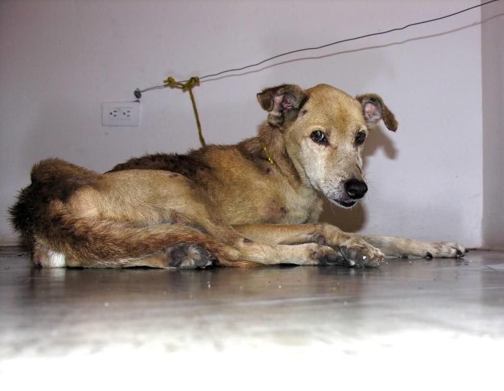 Artwork Title: Exposición No. 1