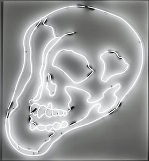 Artwork Title: White Skull