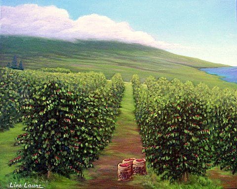 Artwork Title: Kona Coffee Farm