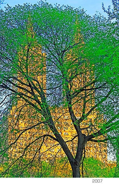 Artwork Title: undefined