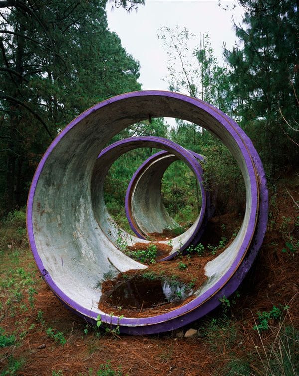Artwork Title: Concentric Circles (Forest Interventions)