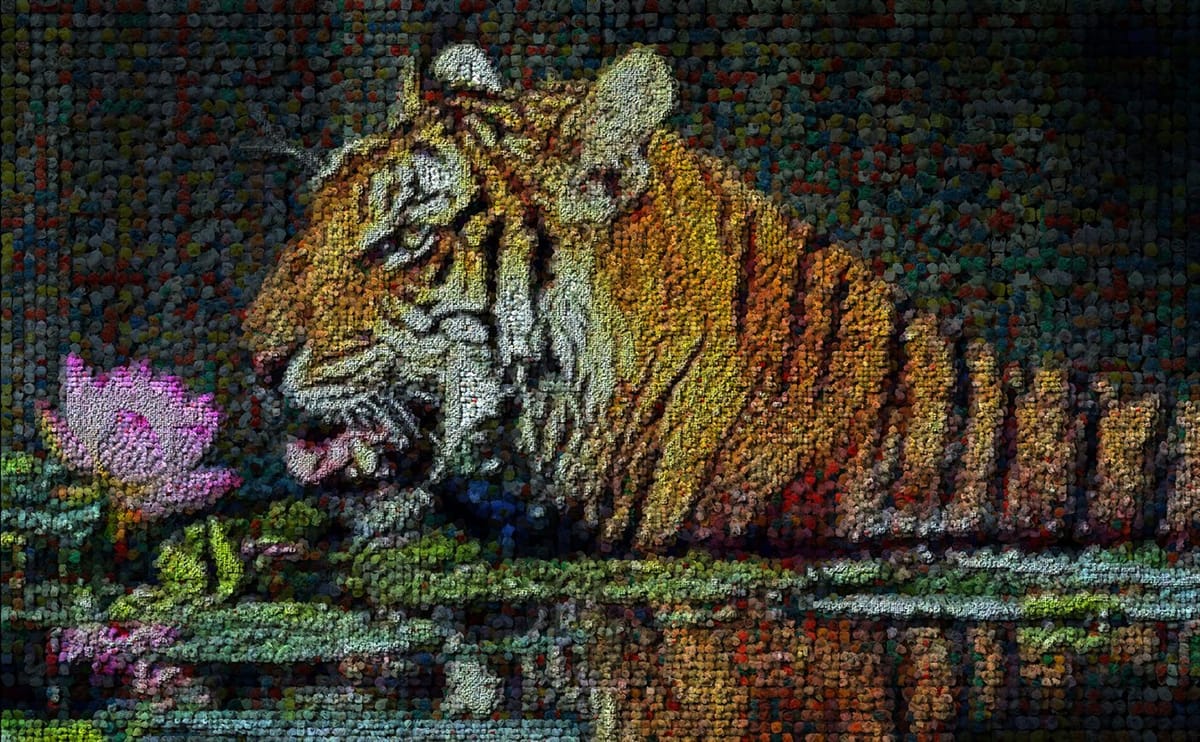 Artwork Title: Tiger-004 老虎 - 004