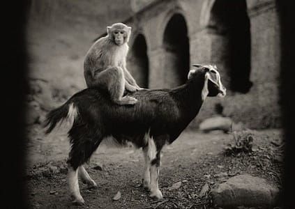 Artwork Title: Untitled