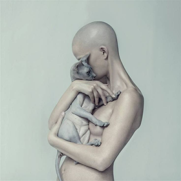 Artwork Title: undefined