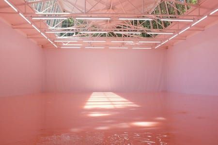 Artwork Title: Pool of pink-tinged water