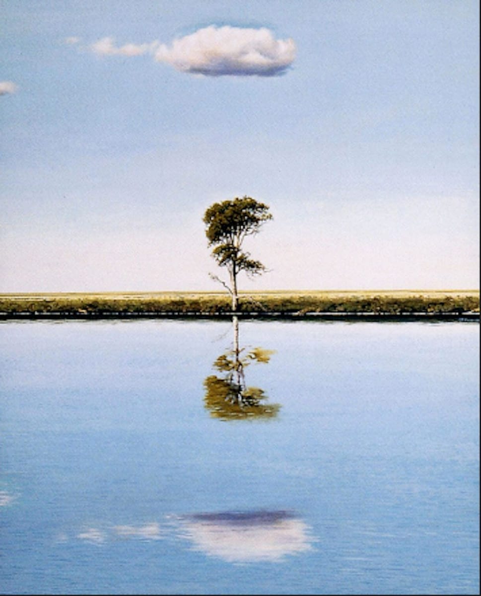 Artwork Title: Pond/Tree/Cloud