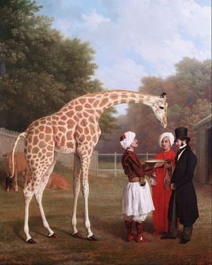 Artwork Title: The Nubian Giraffe