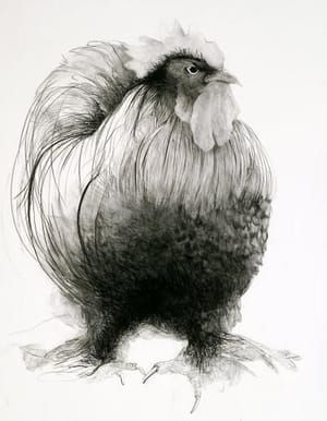 Artwork Title: Big Fat Hen