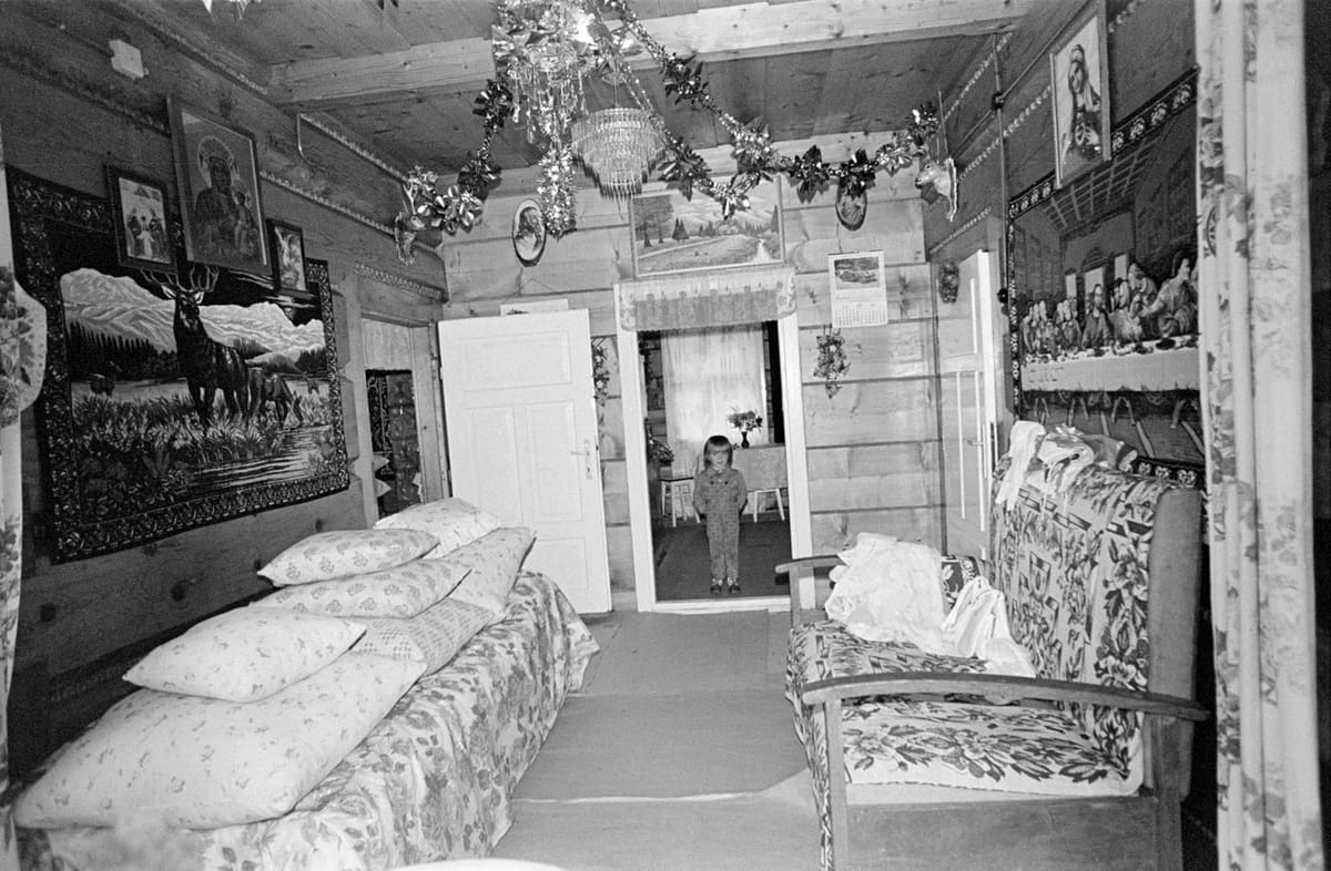 Artwork Title: Sociological Record