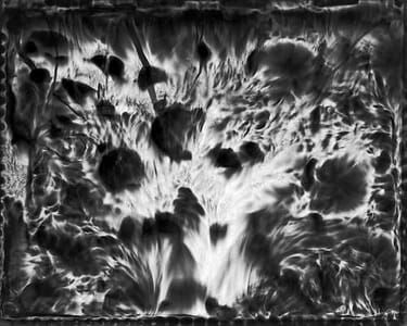 Artwork Title: Untitled