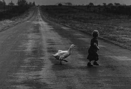 Artwork Title: Untitled