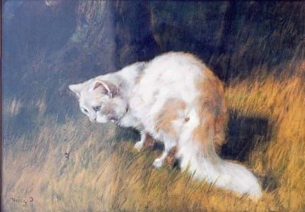 Artwork Title: White Cat