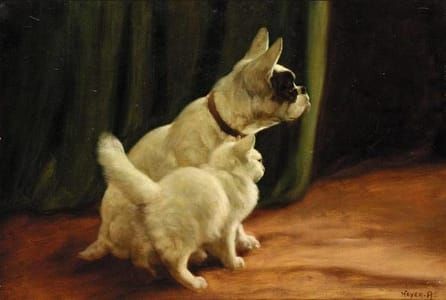Artwork Title: Cat and Dog