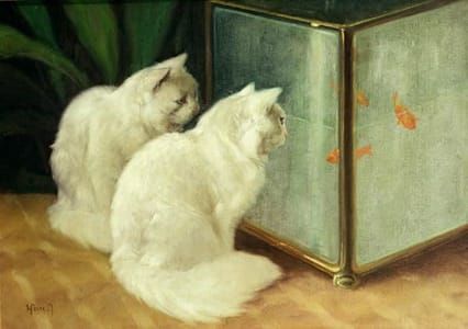 Artwork Title: Two Persians in Front of a Goldfish Tank