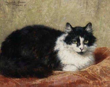 Artwork Title: A Cat on a Pillow