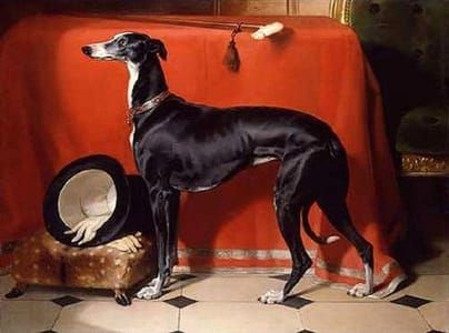 Artwork Title: A Favorite Greyhound of Prince Albert