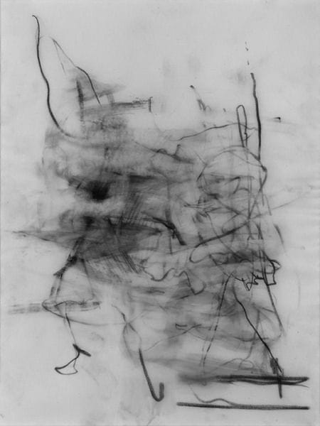 Artwork Title: Untitled (After GSMB vRI #5), Charcoal on vellum 12 x 9 in
