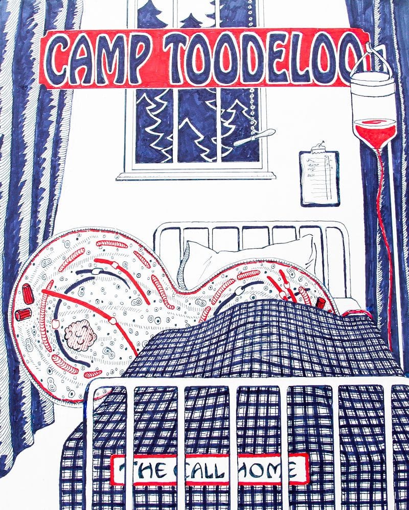 Artwork Title: Camp Toodeloo
