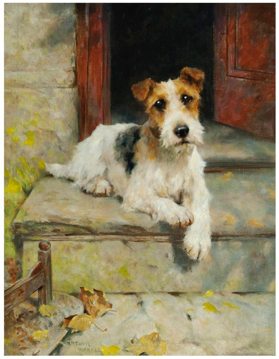 Artwork Title: Waiting for master, a wire coated fox terrier