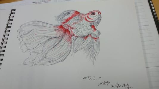 Artwork Title: Goldfish