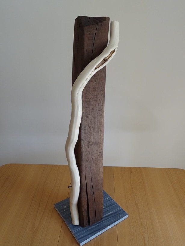 Artwork Title: Symbiose 05