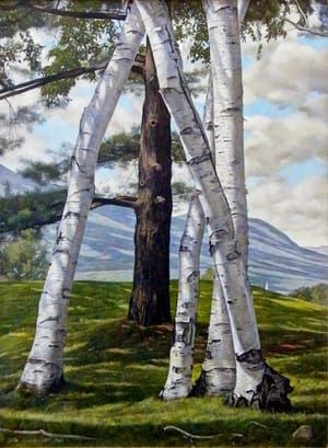 Artwork Title: The Pine through the Birches