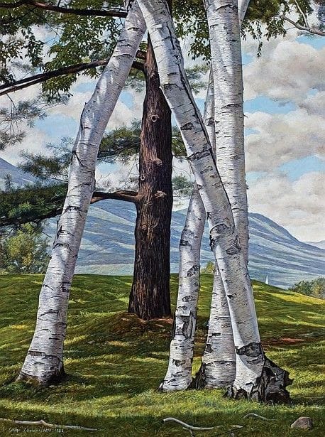 Artwork Title: The Pine through the Birches