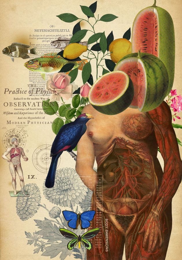 Artwork Title: Deliri Anatomici