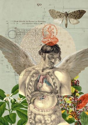 Artwork Title: Deliri anatomici