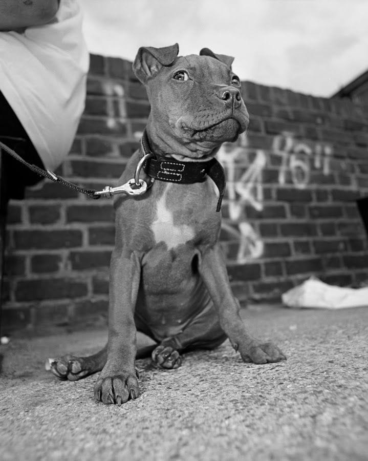 Artwork Title: undefined