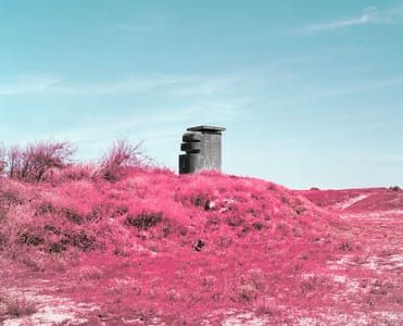 Artwork Title: Untitled