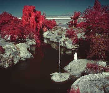 Artwork Title: Untitled