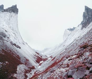 Artwork Title: Untitled