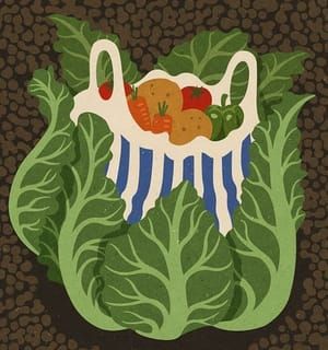 Artwork Title: Untitled