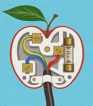 Artwork Title: Untitled