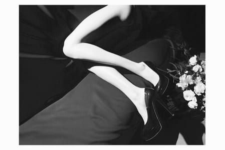 Artwork Title: Untitled