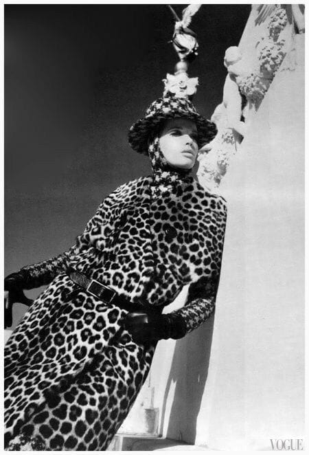 Artwork Title: Veruschka