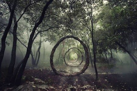 Artwork Title: Forest Sculpture