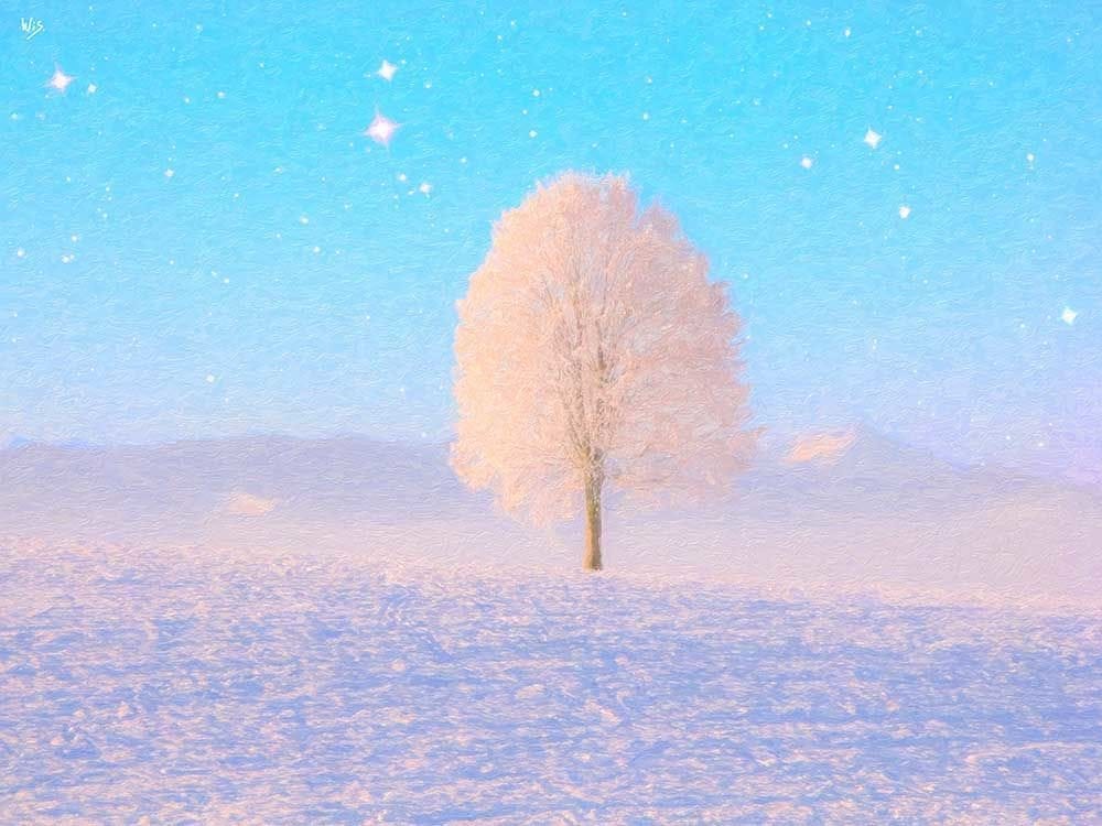 Artwork Title: Samotne drzewo w śniegach pod gwiazdami,  (Solitary Tree in the Snow under the Stars)