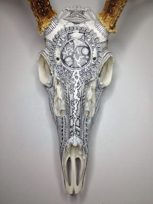 Artwork Title: White Tail Deer Skull Inked