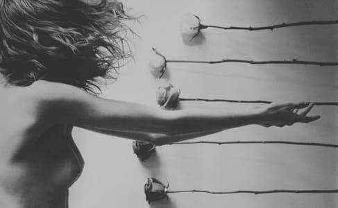 Artwork Title: Untitled