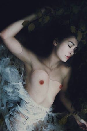 Artwork Title: Untitled