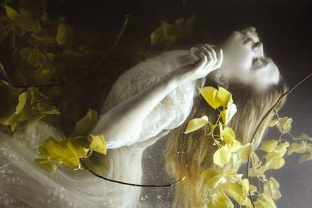 Artwork Title: Untitled