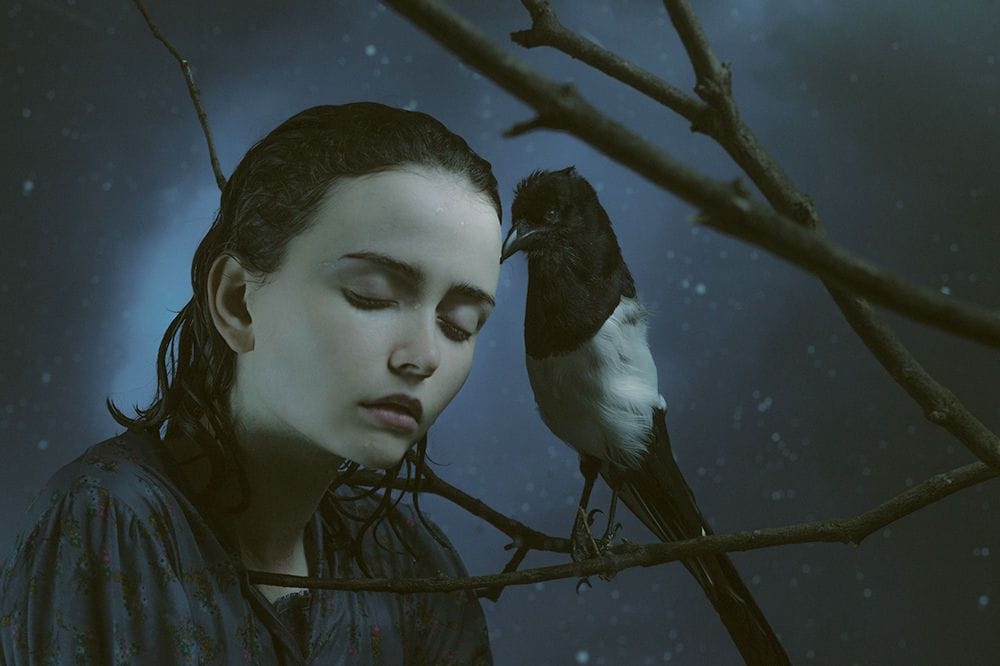 Artwork Title: undefined