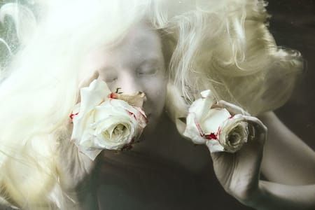 Artwork Title: Untitled