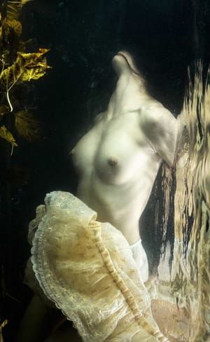 Artwork Title: Untitled