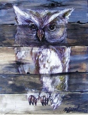 Artwork Title: Owl